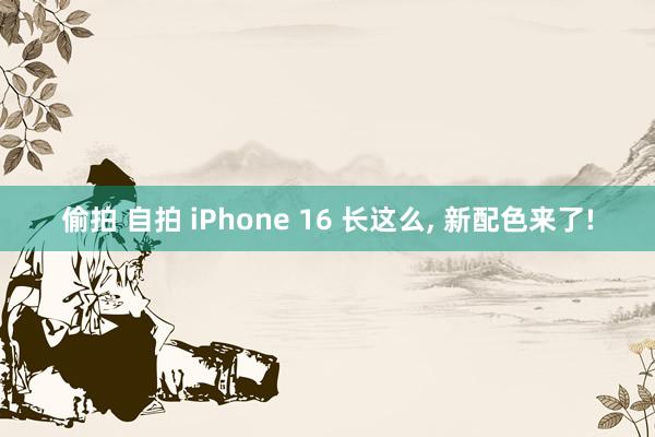 偷拍 自拍 iPhone 16 长这么， 新配色来了!