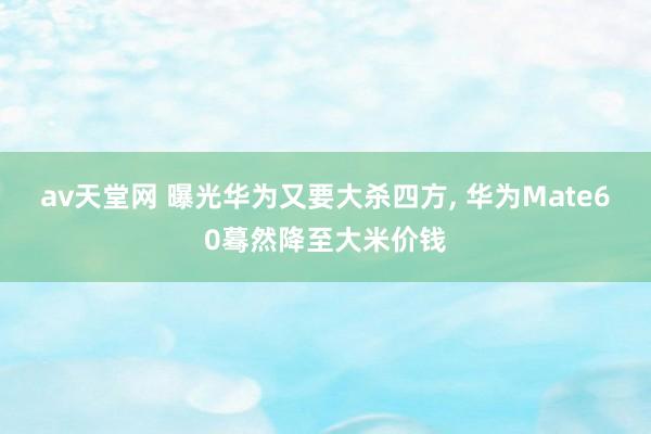 av天堂网 曝光华为又要大杀四方， 华为Mate60蓦然降至大米价钱