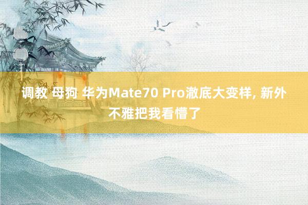 调教 母狗 华为Mate70 Pro澈底大变样， 新外不雅把我看懵了