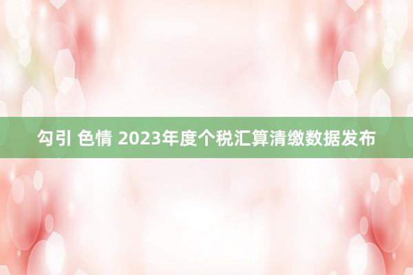 勾引 色情 2023年度个税汇算清缴数据发布